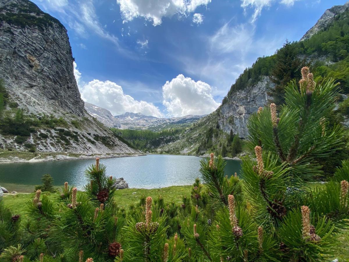 Hostel Soca Rocks Бовец Екстер'єр фото